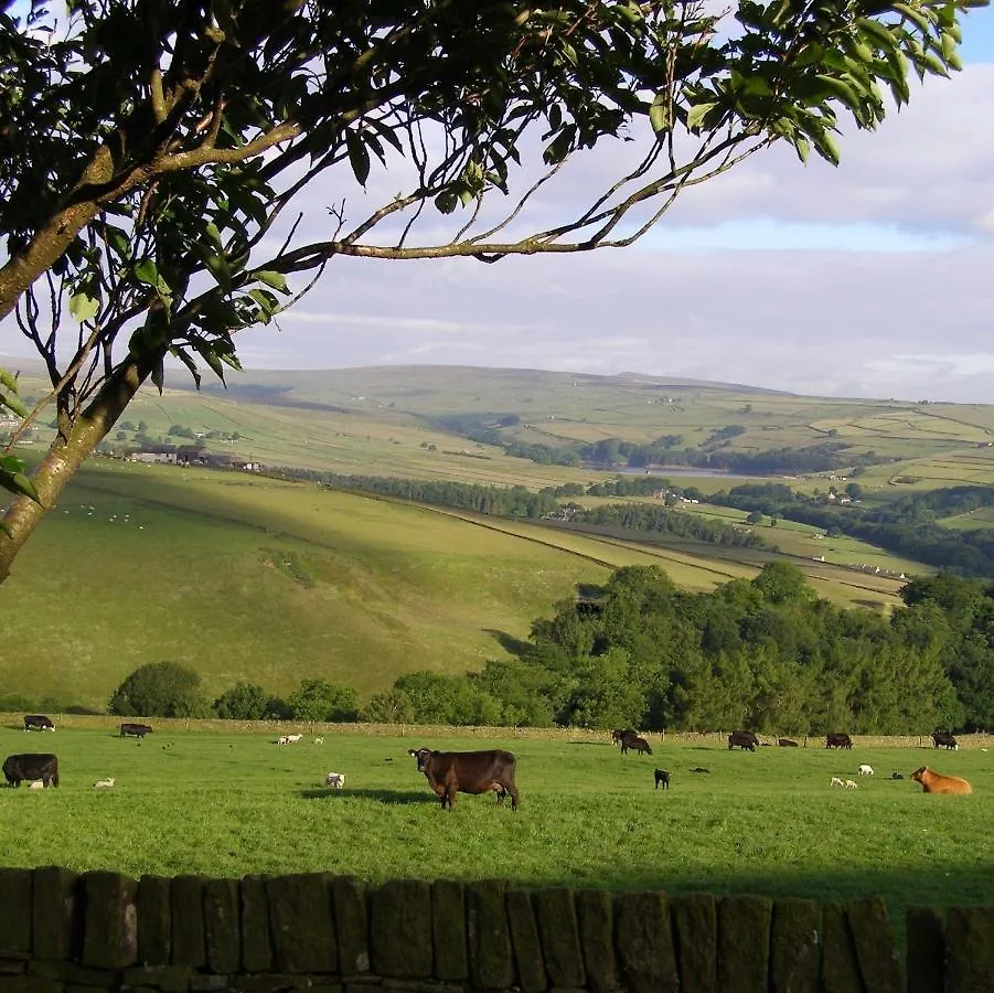 Coddy'S Farm Bed and Breakfast Holmfirth